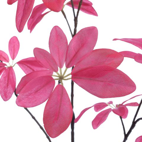 LARGE SCHEFFLERA LEAF 95CM BEAUTY