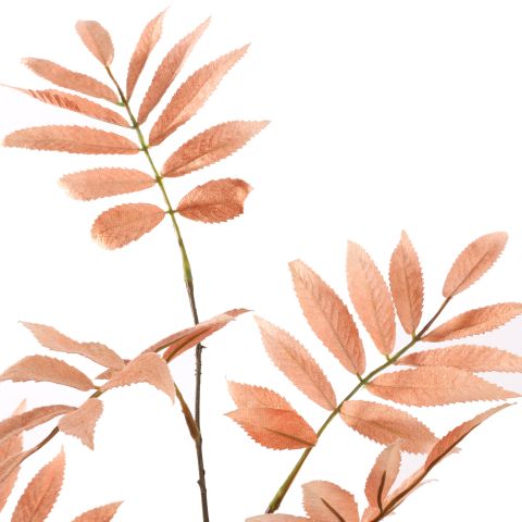 SORBUS LEAF 82CM PEACH