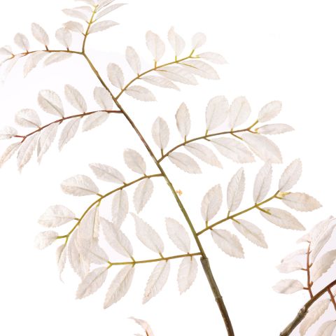 BEGONIA LEAF 96CM WHITE
