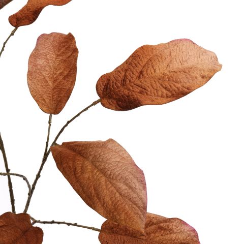 MAGNOLIA SPRAY 124CM BROWN