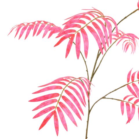 CHAMAEDOREA SPRAY 90CM BEAUTY