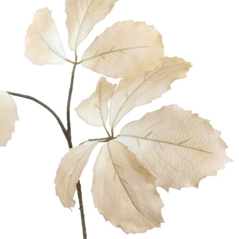 LEAF SPRAY 85CM BEIGE