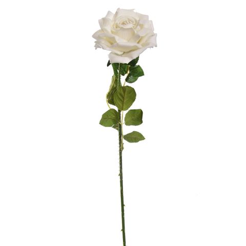 40110012-cr_0.jpeg