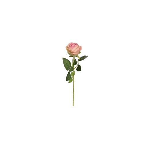 40110023-pi.jpg