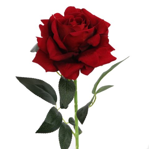VELVET OPEN ROSE 75CM RED