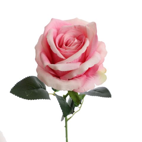 VELVET ROSE 50CM PINK