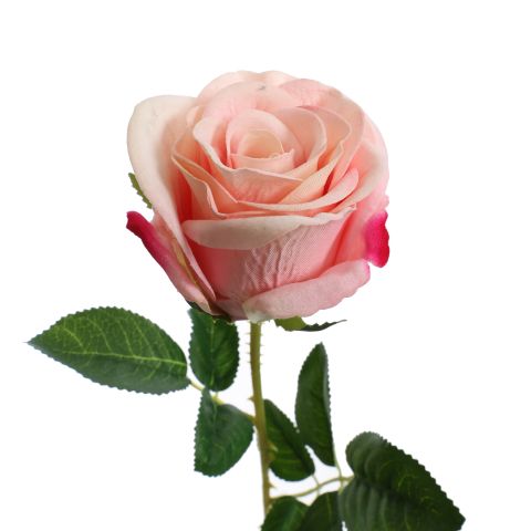VELVET ROSEBUD 55CM PINK