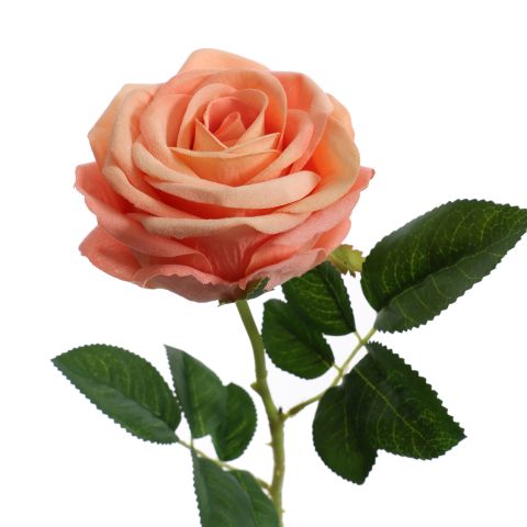 VELVET ROSE 60CM PEACH