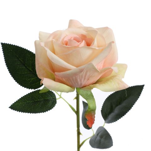 ROSE 50CM PEACH
