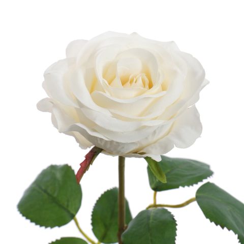 ROSE 45CM CREAM