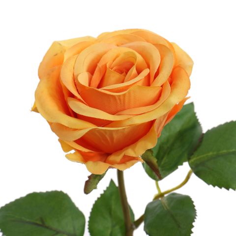 ROSE 45CM ORANGE