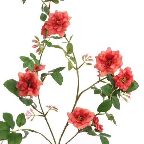 MINI GARDEN ROSE SPRAY 105CM CORAL