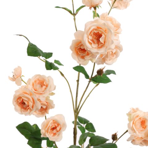MINI ROSE SPRAY 97CM PEACH