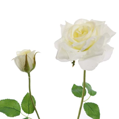 40110049-cr_2.jpg