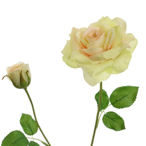 40110049-gr_2.jpg
