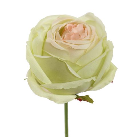 40110050-gr_2.jpg
