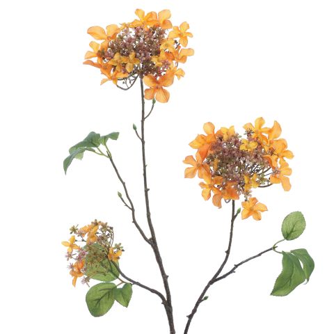 HYDRANGEA BRANCH 70CM OCRE