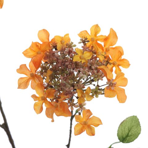HYDRANGEA BRANCH 70CM OCRE