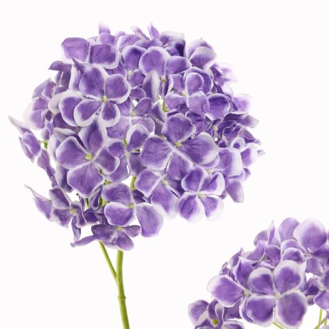 HYDRANGEA X 2 82CM PURPLE
