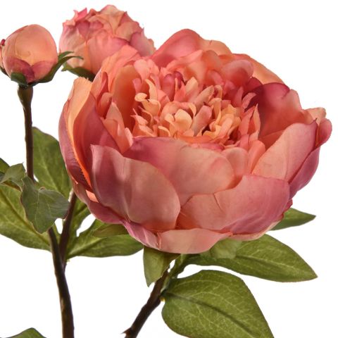 PEONY SPRAY 48CM FLAME