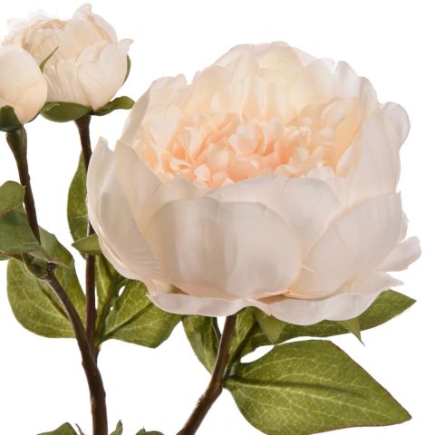 PEONY SPRAY 48CM VANILLA