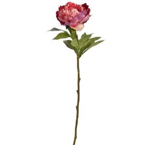 40130015-pi_0.jpeg