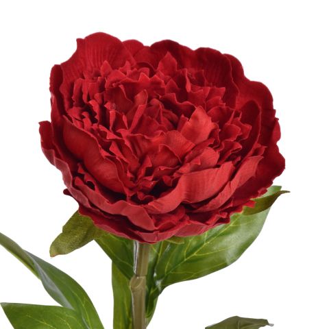 VELVET PEONY 65CM RED