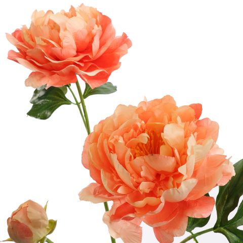 OPEN PEONY BRANCH 80CM PEACH