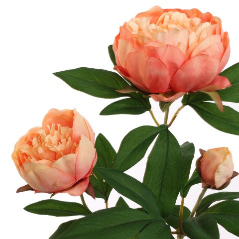 PEONY BRANCH 70CM PEACH