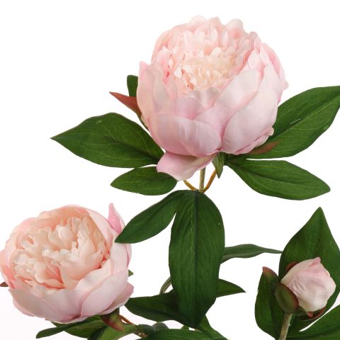 PEONY BRANCH 70CM PINK
