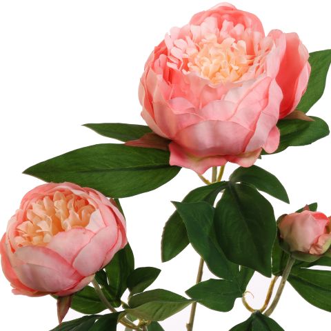 PEONY BRANCH 70CM SALMON