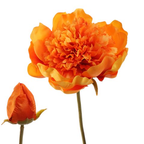 OPEN PEONY 64CM ORANGE