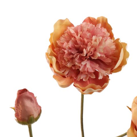 OPEN PEONY 64CM PEACH