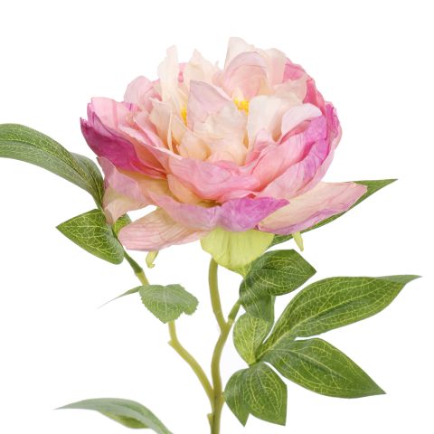 OPEN PEONY 65CM LAVENDER