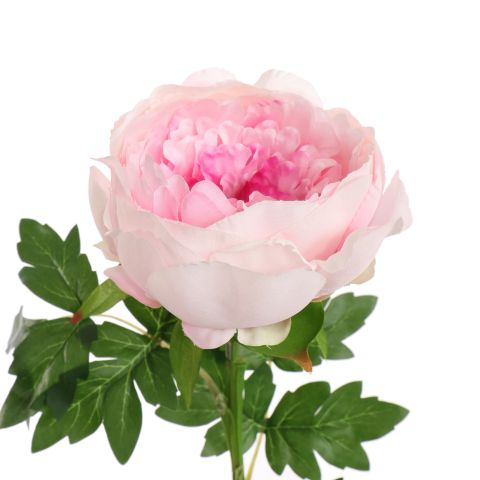 PEONY 70CM LAVENDER