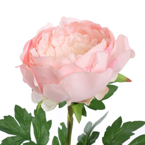 PEONY 70CM PINK