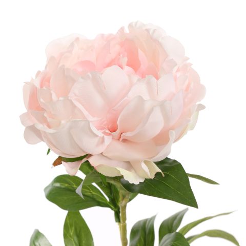 OPEN PEONY 80CM PINK