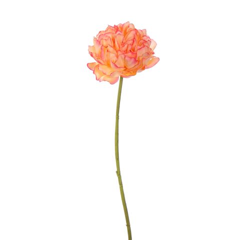 40130041-fla.jpg