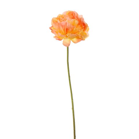 40130041-or.jpg
