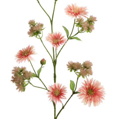DAHLIA PLUM SPRAY 93CM MAUVE