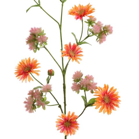 DAHLIA PLUM SPRAY 93CM ORANGE