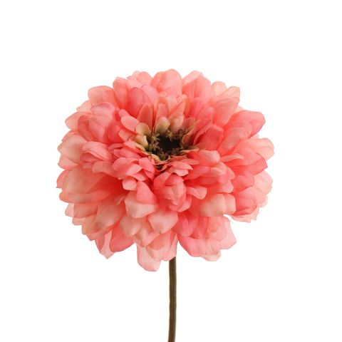 ZINNIA 70CM PINK