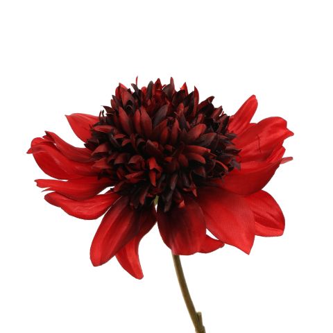 DAHLIA 100CM RED