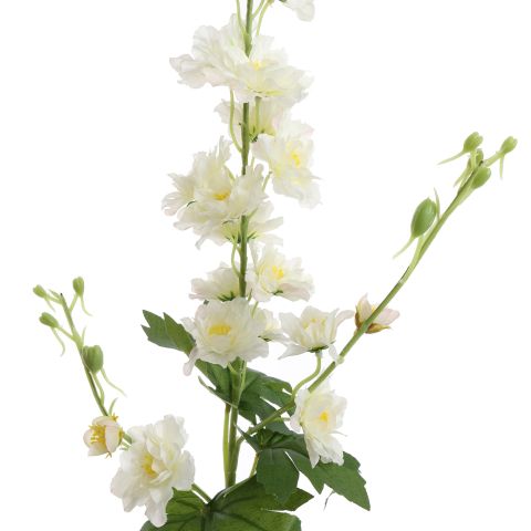 DELPHINIUM 95CM CREAM