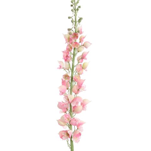 SINGLE ACONITUM 135CM PINK