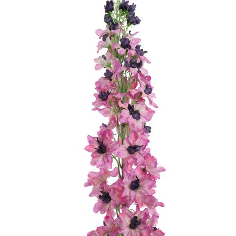DELPHINIUM 110CM LAVENDER