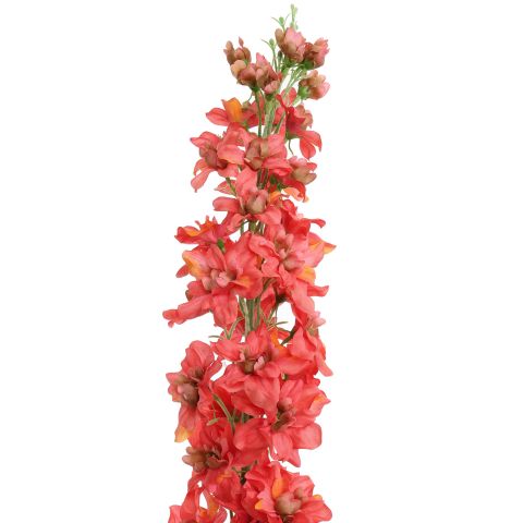 DELPHINIUM 110CM TERRACOTTA