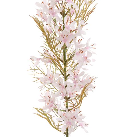FLOWER ASPARAGUS 76CM CREAM PINK