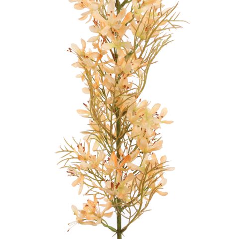 FLOWER ASPARAGUS 76CM PEACH