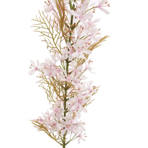 FLOWER ASPARAGUS 115CM CREAM PINK